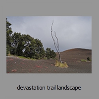 devastation trail landscape